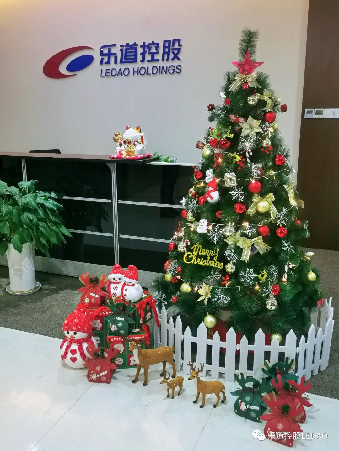 玲儿响叮当，圣诞节喜乐平安下午茶活动！  2023/12/25